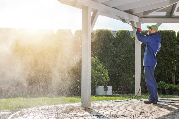 Best Building Exterior Pressure Washing in Gold Canyon, AZ
